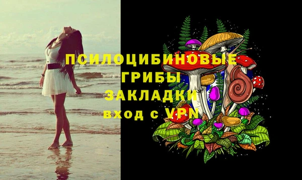 метамфетамин Алексеевка