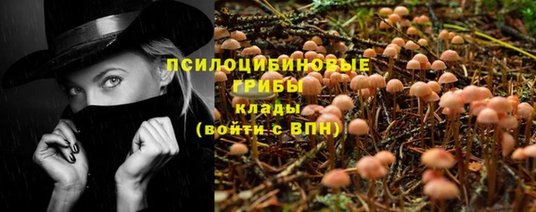 ешки Алзамай