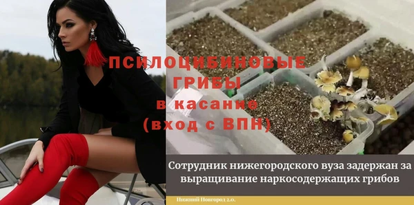 твердый Алексин